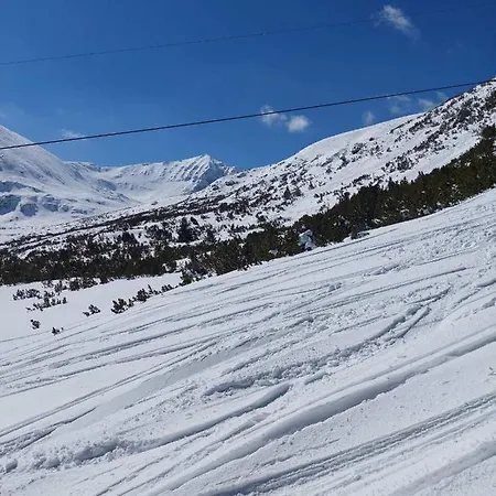 Cozy Rila Park * Μπόροβετς