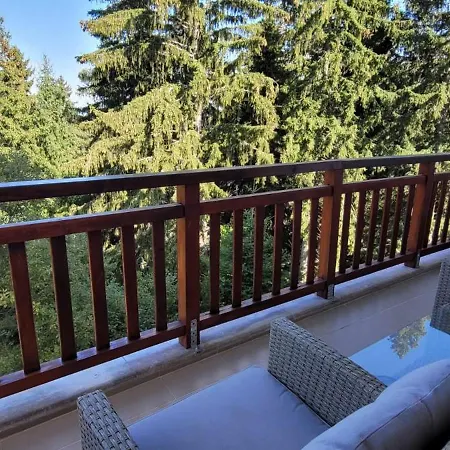 Διαμέρισμα Cozy Rila Park