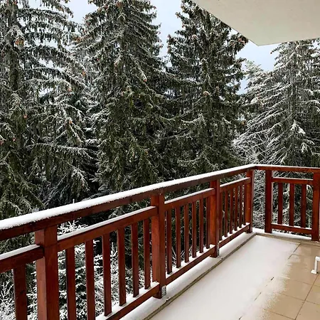 Cozy Rila Park Διαμέρισμα *